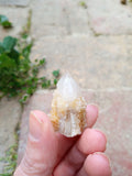 Spirit Quartz point - SPQ01